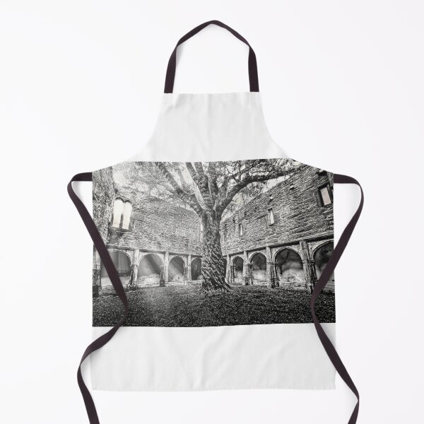 Item preview, Muckross Abbey 4 designed and sold by Alex Preiss.