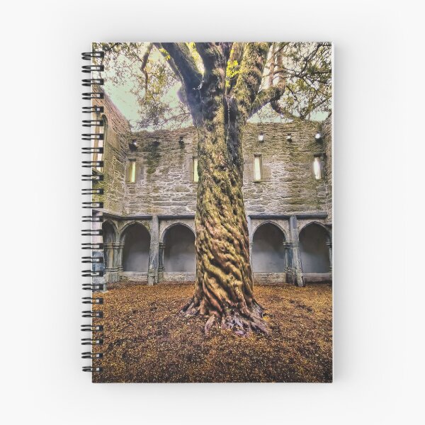 Item preview, Muckross Abbey 5 designed and sold by Alex Preiss.