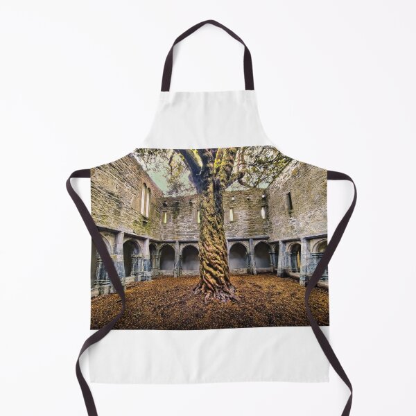 Item preview, Muckross Abbey 5 designed and sold by Alex Preiss.