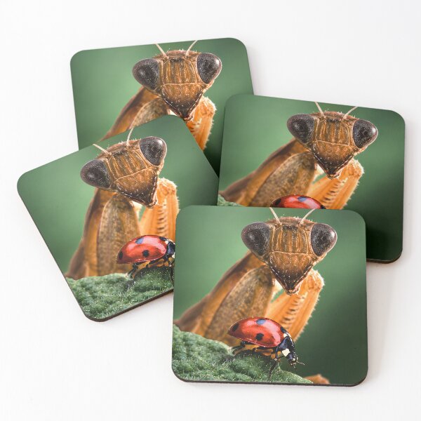 Item preview, Praying Mantis and Ladybug Macro Photography designed and sold by Extravanganzza.