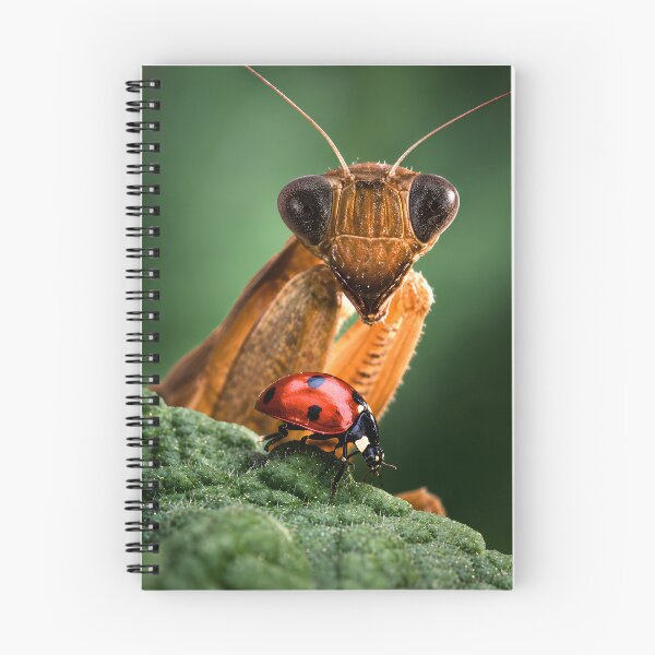 Item preview, Praying Mantis and Ladybug Macro Photography designed and sold by Extravanganzza.