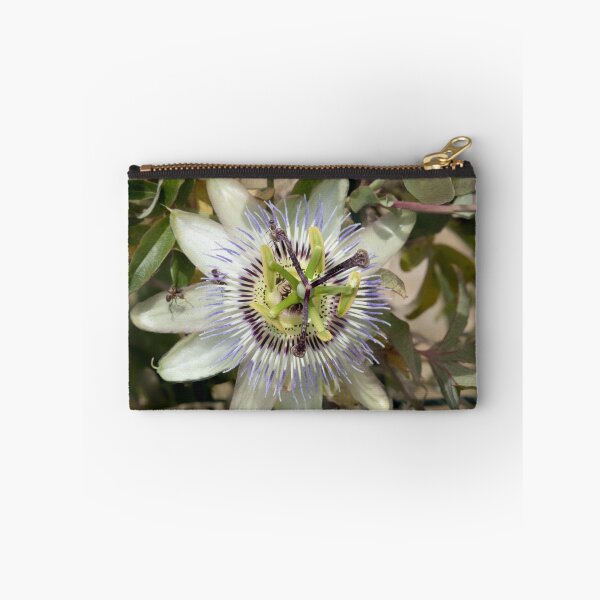 Item preview, Passion Flower designed and sold by DPalmer.