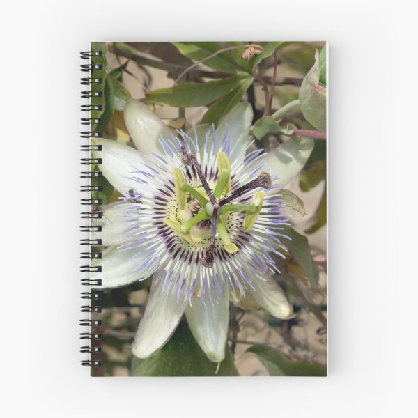 Item preview, Passion Flower designed and sold by DPalmer.