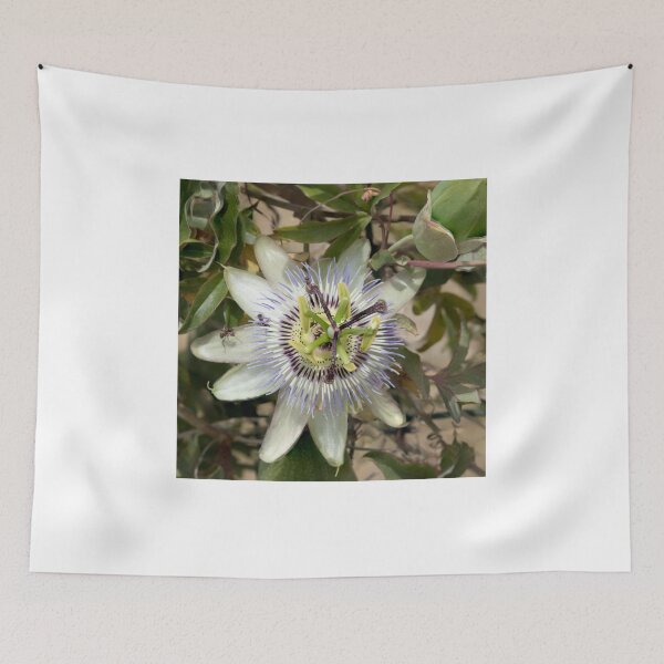 Item preview, Passion Flower designed and sold by DPalmer.