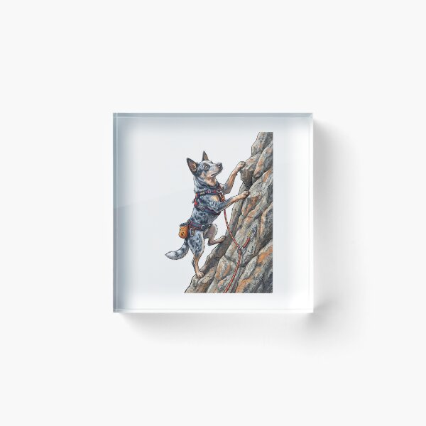 Item preview, Australian Cattle Dog Rock Climber with Harness and Rope Illustration designed and sold by PictoVibe.