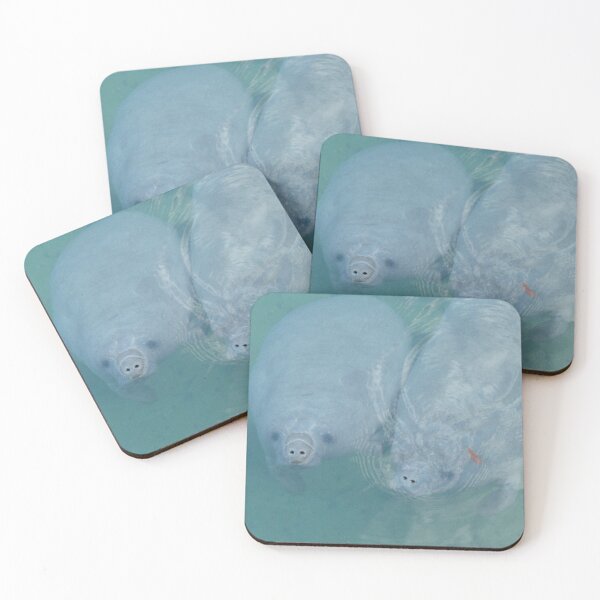 Item preview, Mom and Baby Manatee at Blue Springs State Park designed and sold by DuvalTiger.