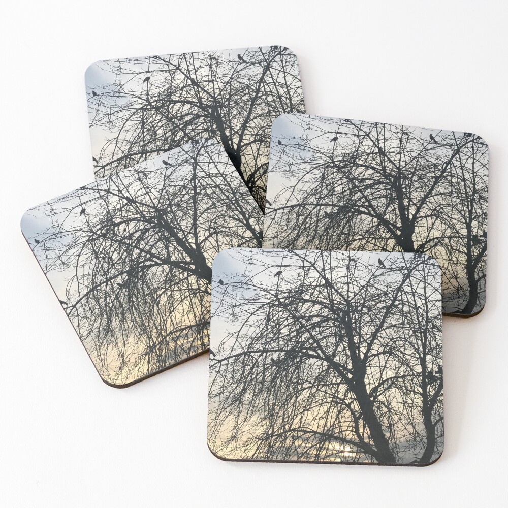 Item preview, Coasters (Set of 4) designed and sold by BackyardBuds.