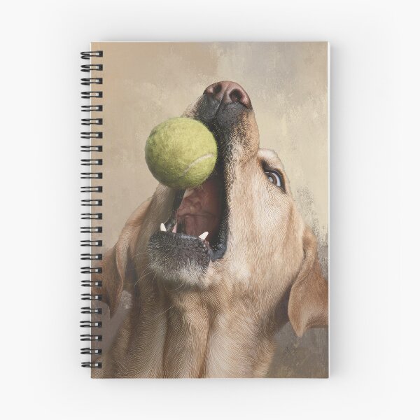 Item preview, Yellow Lab Catching Ball 02 designed and sold by Elisabeth Lucas.