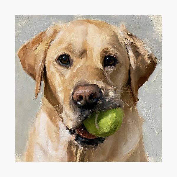 Item preview, Cute Yellow Lab with Ball designed and sold by Elisabeth Lucas.