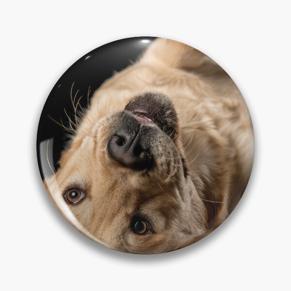 Item preview, Upside Down Yellow Lab designed and sold by Elisabeth Lucas.