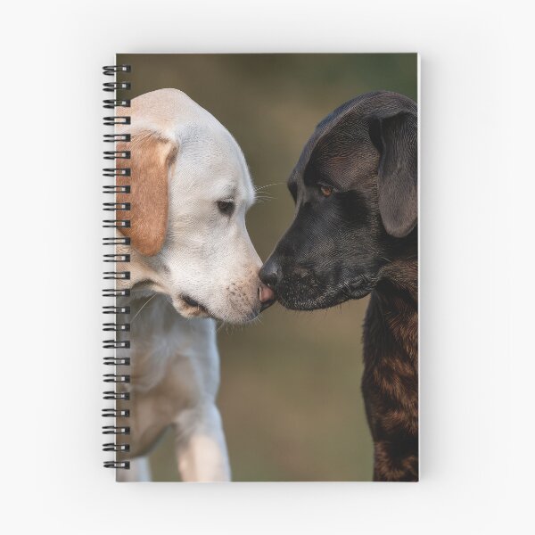 Item preview, Labrador Kiss designed and sold by Elisabeth Lucas.