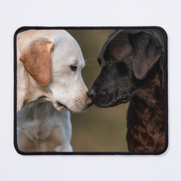 Item preview, Labrador Kiss designed and sold by Elisabeth Lucas.