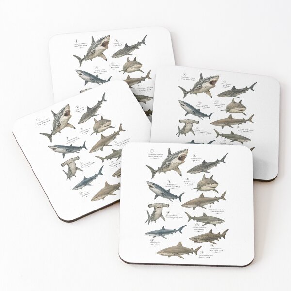 Item preview, 10 Most Dangerous Sharks Vintage Scientific Illustration designed and sold by Extravanganzza.