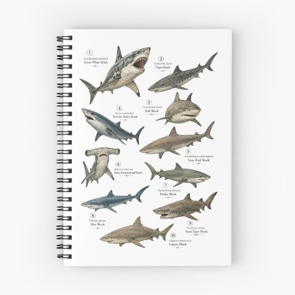 Item preview, 10 Most Dangerous Sharks Vintage Scientific Illustration designed and sold by Extravanganzza.