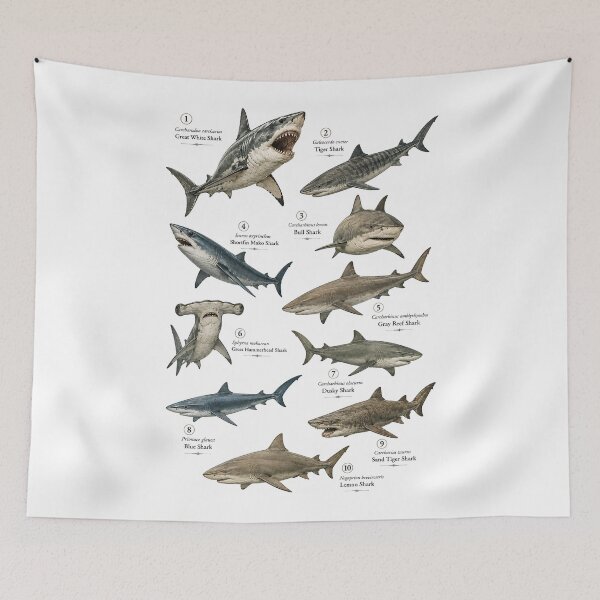 Item preview, 10 Most Dangerous Sharks Vintage Scientific Illustration designed and sold by Extravanganzza.