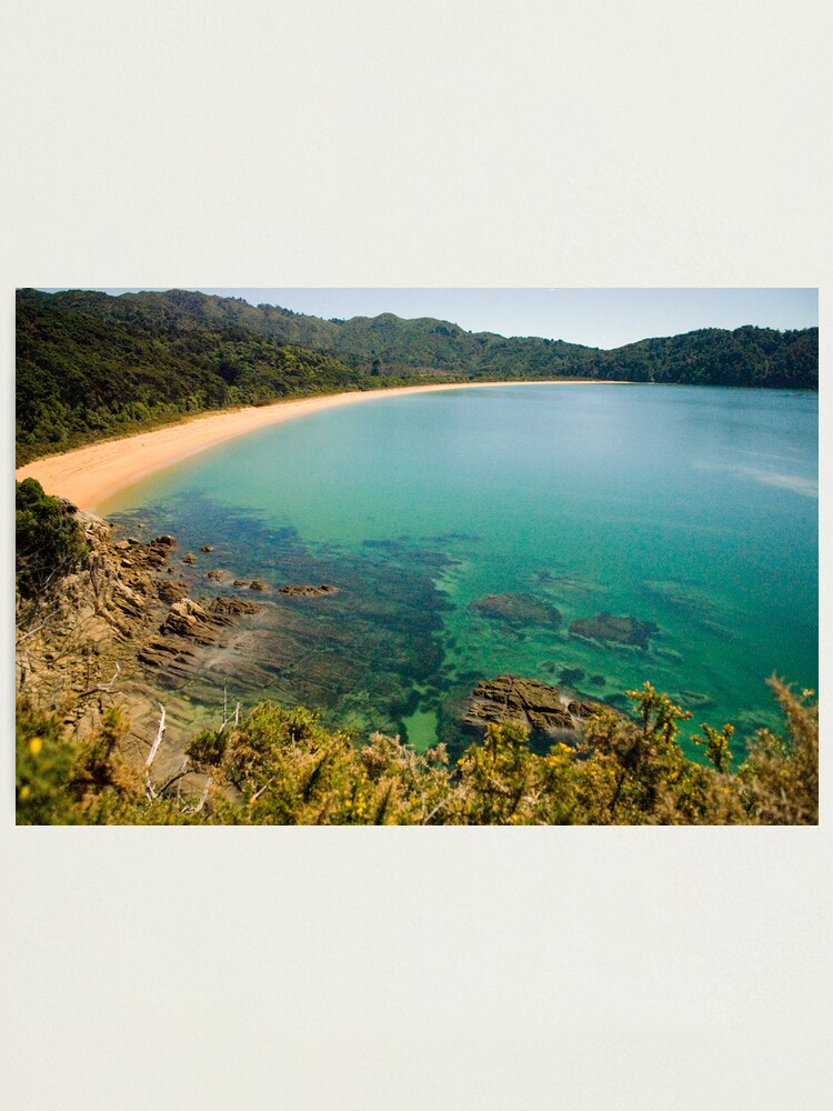 Lamina Fotografica Playa Totaranui Parque Nacional Abel Tasman De Nzart Redbubble