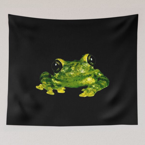 Item preview, Camiseta Silverchair-Frogstomp designed and sold by JohnsonBoehm.