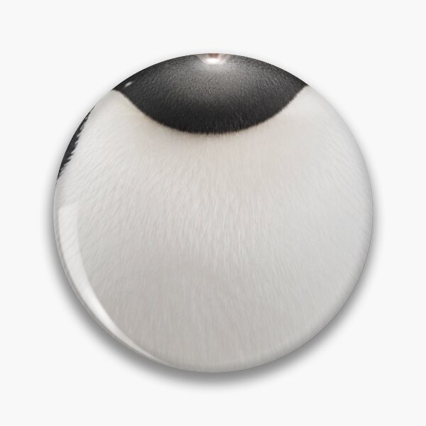 Item preview, Adelie Penguin - Realistic Sleepy Bird Art designed and sold by Helt-enkelt.