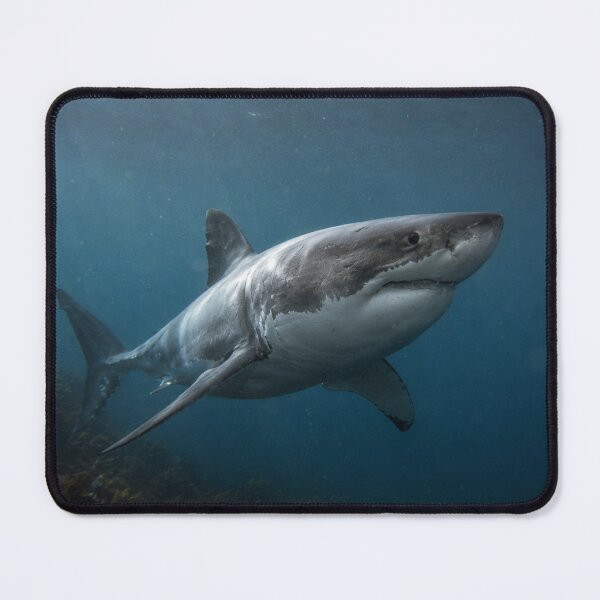 Item preview, Great White Shark Underwater | Powerful Ocean Wildlife Wall Art | Shark Canvas designed and sold by ApexAnimal Art.