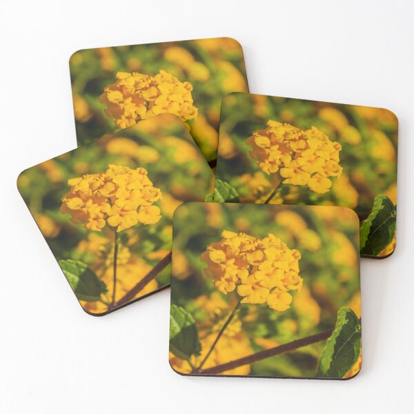 Item preview, Yellow Lantana Flower Cluster Close-Up With Green Leaves And Soft Bokeh Background designed and sold by Nmallia.
