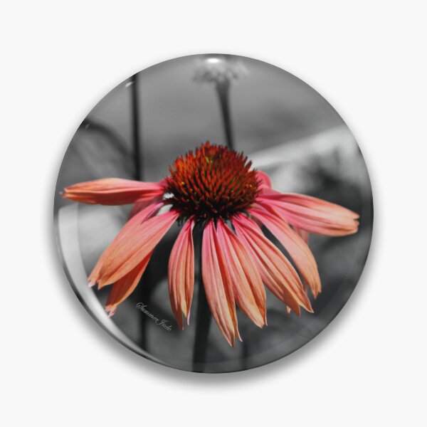 Item preview, Perennial Harmony Sunset Echinacea designed and sold by SummerJade.