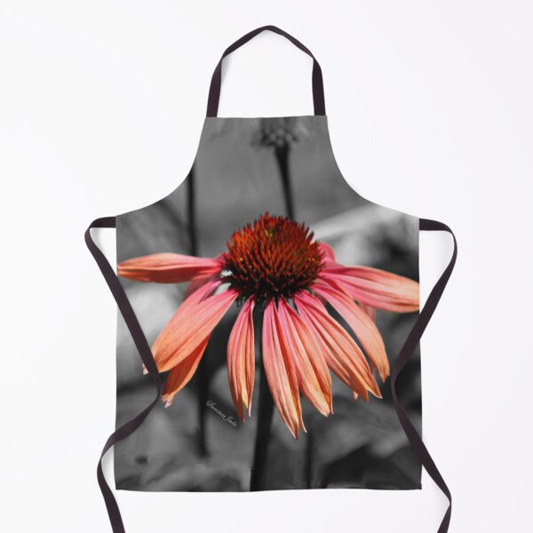 Item preview, Perennial Harmony Sunset Echinacea designed and sold by SummerJade.