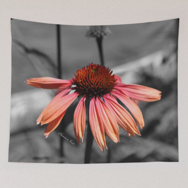 Item preview, Perennial Harmony Sunset Echinacea designed and sold by SummerJade.