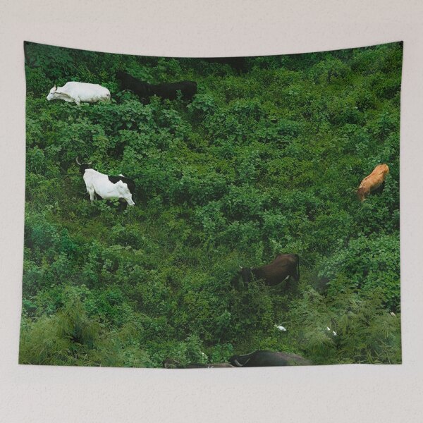 Item preview, cows grazing a lush green field designed and sold by studio-ladybug.