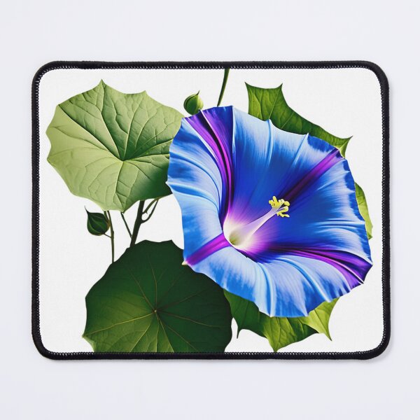 Item preview, Blue Morning Glory Botanical Bloom designed and sold by theSilvaRoom.
