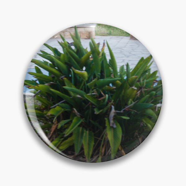 Item preview, Green Coastal Shrub on Seafront Promenade Overlooking Calm Ocean Horizon and Sandy Dunes designed and sold by Nmallia.