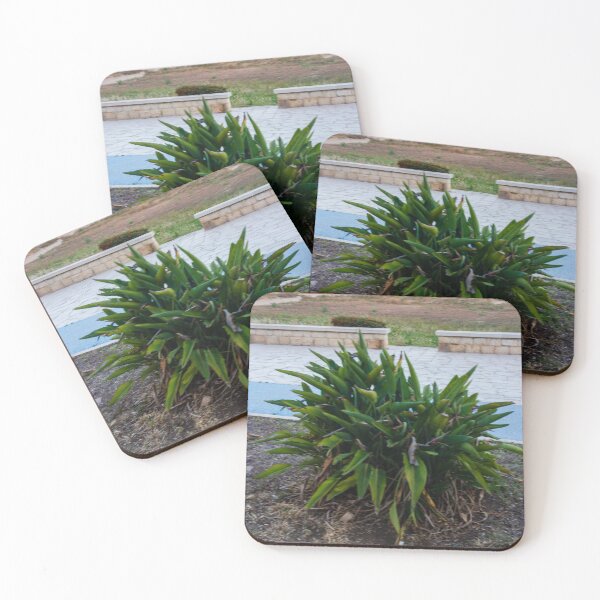 Item preview, Green Coastal Shrub on Seafront Promenade Overlooking Calm Ocean Horizon and Sandy Dunes designed and sold by Nmallia.