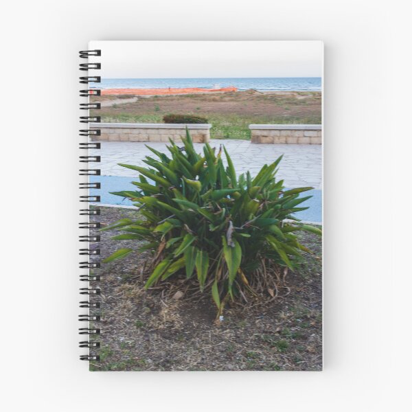Item preview, Green Coastal Shrub on Seafront Promenade Overlooking Calm Ocean Horizon and Sandy Dunes designed and sold by Nmallia.