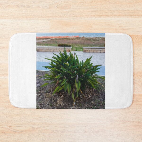 Item preview, Green Coastal Shrub on Seafront Promenade Overlooking Calm Ocean Horizon and Sandy Dunes designed and sold by Nmallia.