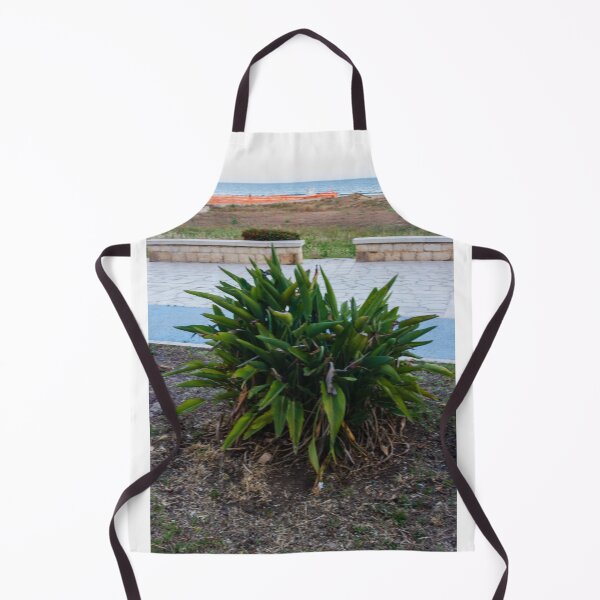 Item preview, Green Coastal Shrub on Seafront Promenade Overlooking Calm Ocean Horizon and Sandy Dunes designed and sold by Nmallia.