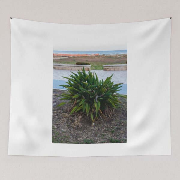 Item preview, Green Coastal Shrub on Seafront Promenade Overlooking Calm Ocean Horizon and Sandy Dunes designed and sold by Nmallia.