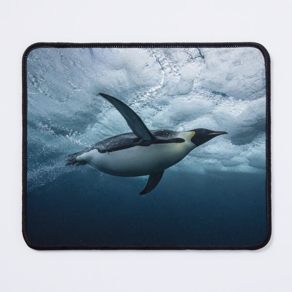 Item preview, Emperor Penguin Under Ice | Antarctic Wildlife Wall Art | Underwater Marine Life Canvas designed and sold by ApexAnimal Art.