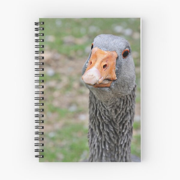 Item preview, perplexed goose designed and sold by Enriscatto.