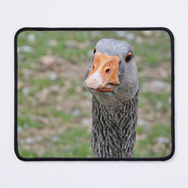Item preview, perplexed goose designed and sold by Enriscatto.