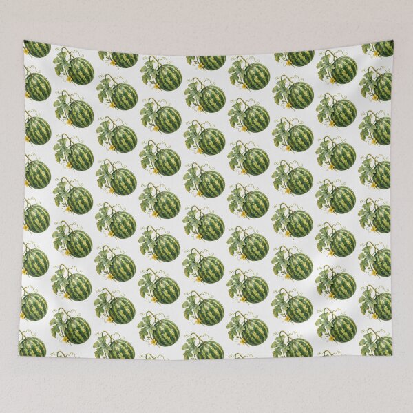 Item preview, Dabuleni Watermelon Botanical Illustration Southern Romania Art designed and sold by FurusatoGallery.