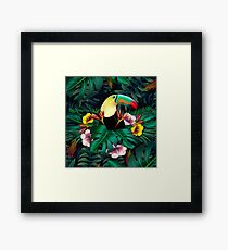Amazônia Framed Print