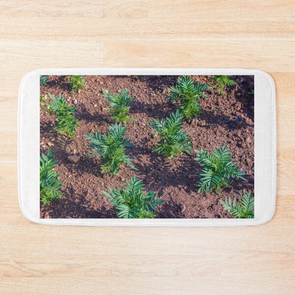 Item preview, Young Seedlings Growing in a Sunlit Garden Bed With Rich Soil and Green Foliage Rows designed and sold by Nmallia.