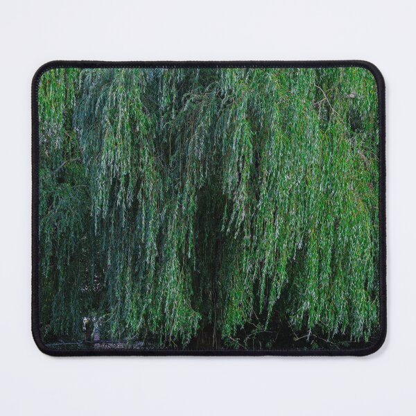 Item preview, Weeping Willow tree landscape designed and sold by GhostwoodLandscapes.