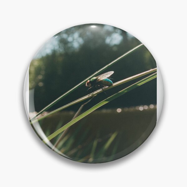 Aperçu de l'œuvre Riverside Insect Nature Photography créée et vendue par Honali.