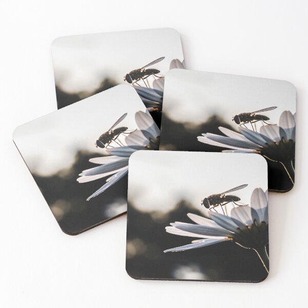 Item preview, Moody Floral Insect Silhouette designed and sold by Honali.