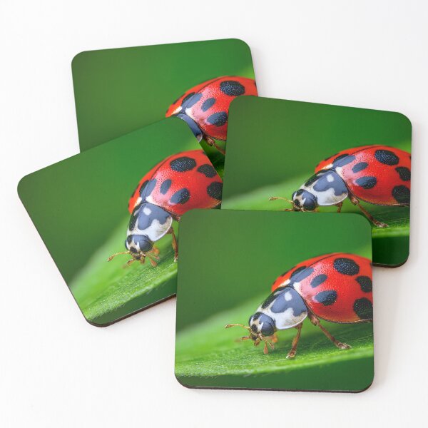 Item preview, Vivid Ladybug on Leaf in Nature's Embrace designed and sold by Artessie.