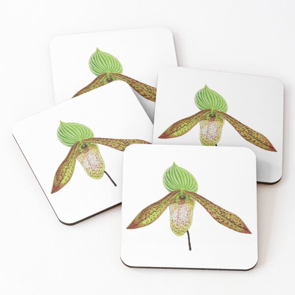 Item preview, Paphiopedilum Orchid Botanical Watercolor Painting designed and sold by kunjaw.