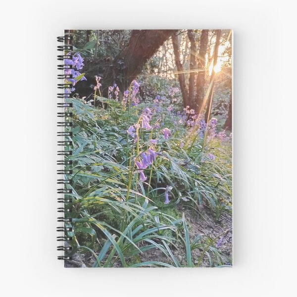 Item preview, Bluebell wood sunset designed and sold by WestHillDesigns.