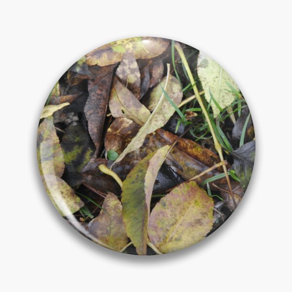 Item preview, Autumn designed and sold by Enriscatto.