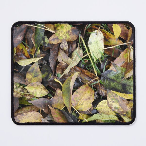 Item preview, Autumn designed and sold by Enriscatto.