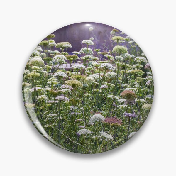 Item preview, Wild Queen Anne's Lace Meadow in Front of Weathered Building With Sunlit Summer Flowers designed and sold by Nmallia.